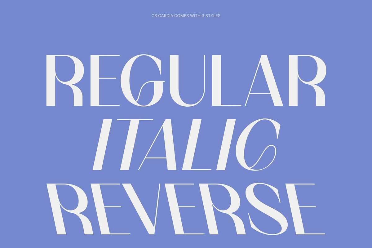 CS Cardia – Elegant Sans Serif, a Sans Serif Font by Craft Supply Co. (Photo 3 of 8)