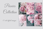 Pink Peonies Collection, an Arts & Entertainment Photo by Anntuan (Thumbnail 1 of 10)