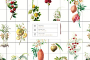 Herbarium Collection prints & more!, a Pattern Graphic by Pink Linen (Thumbnail 6 of 15)