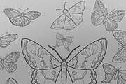 Butterfly & Moth, a Brush Add-On by Forget Me Not Brush Shop (Thumbnail 2 of 3)