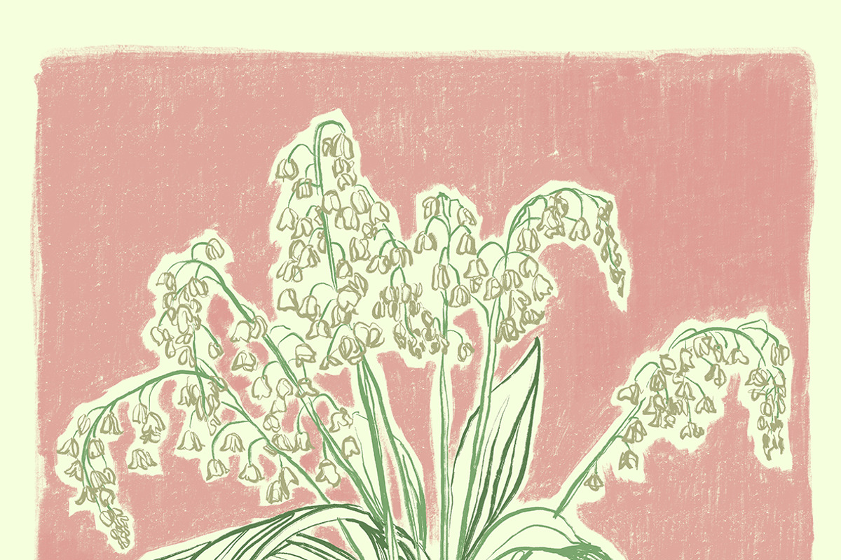 Des Fleurs – Botanical Illustrations, a Decorative Illustration by D-edits (Photo 5 of 7)