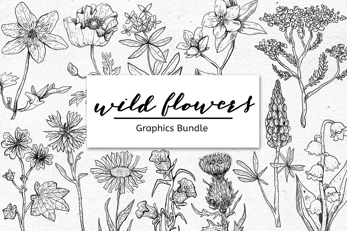 WILD FLOWERS - Graphics Bundle, an Object Graphic by voidea (Photo 1 of 2)