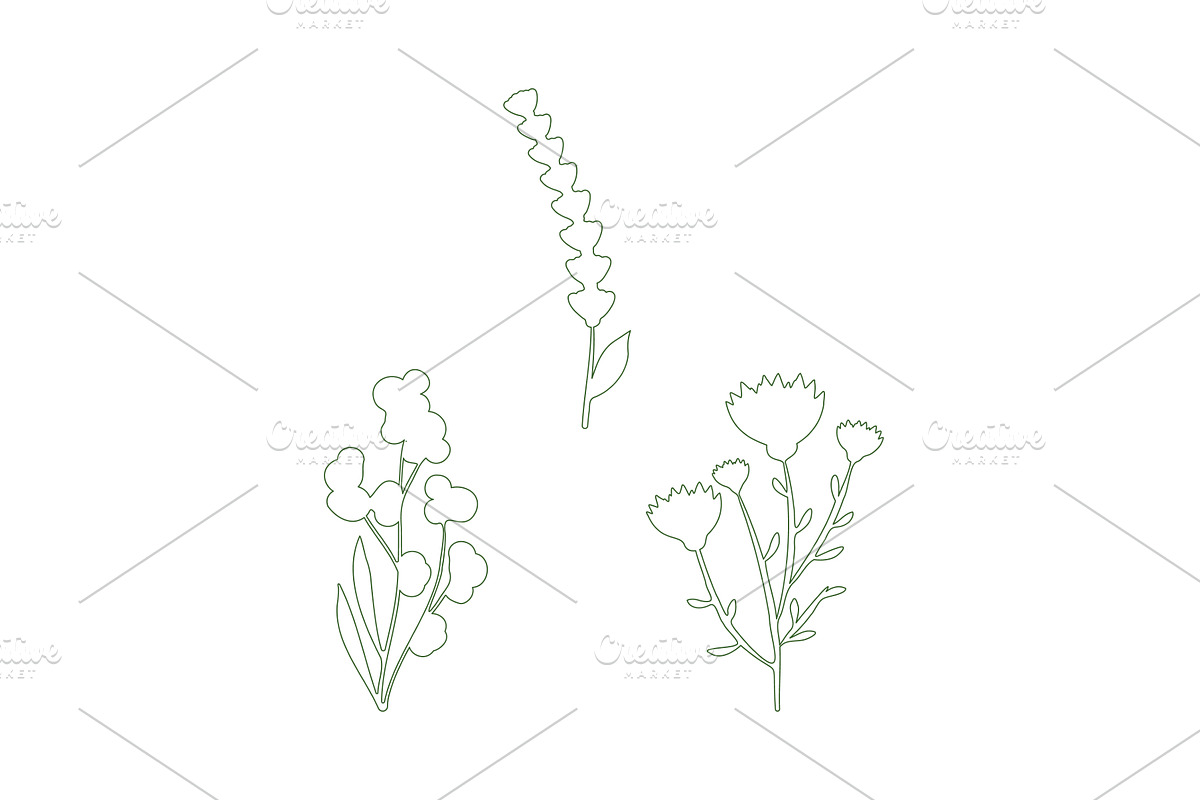 Minimalist line art flowers trio set, an Object Illustration by okskukuruza