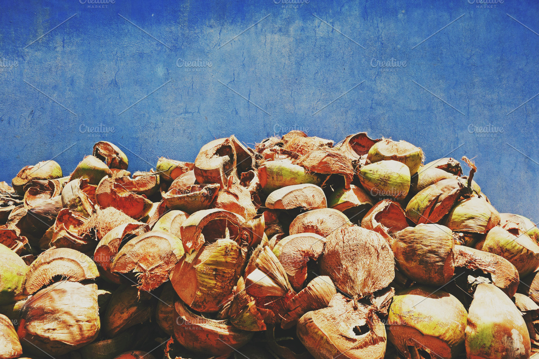 Dead Coconuts