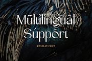 Roselly Serif Font, a Serif Font by Graphue (Thumbnail 4 of 9)