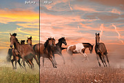 Autumn Makeover, an Action Add-On by Pencil Pixels (Thumbnail 7 of 9)