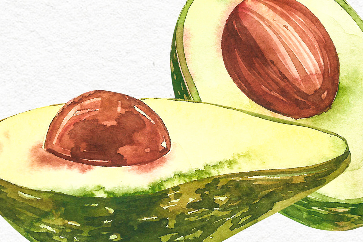 Avocado in botanical style, a Food Illustration by Ann Astro (Photo 2 of 13)
