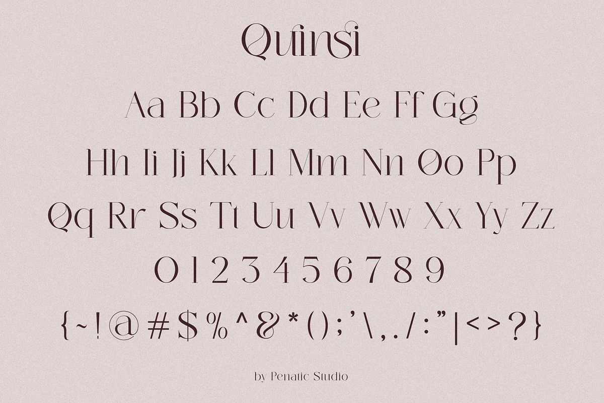 Quinsi Modern Typeface, a Serif Font by Penatic Studio (Photo 9 of 10)