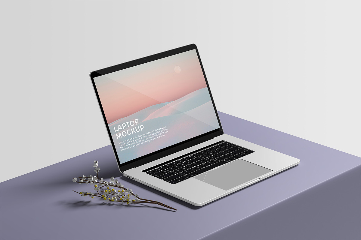 MacBook Pro Mockup, a Mac Mockup by graphicpages (Photo 10 of 14)