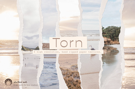 TORN | Hand ripped paper textures