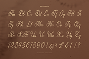 Kollegaly Rosalina Calligraphy Font, a Script Font by Denustudios (Thumbnail 11 of 12)