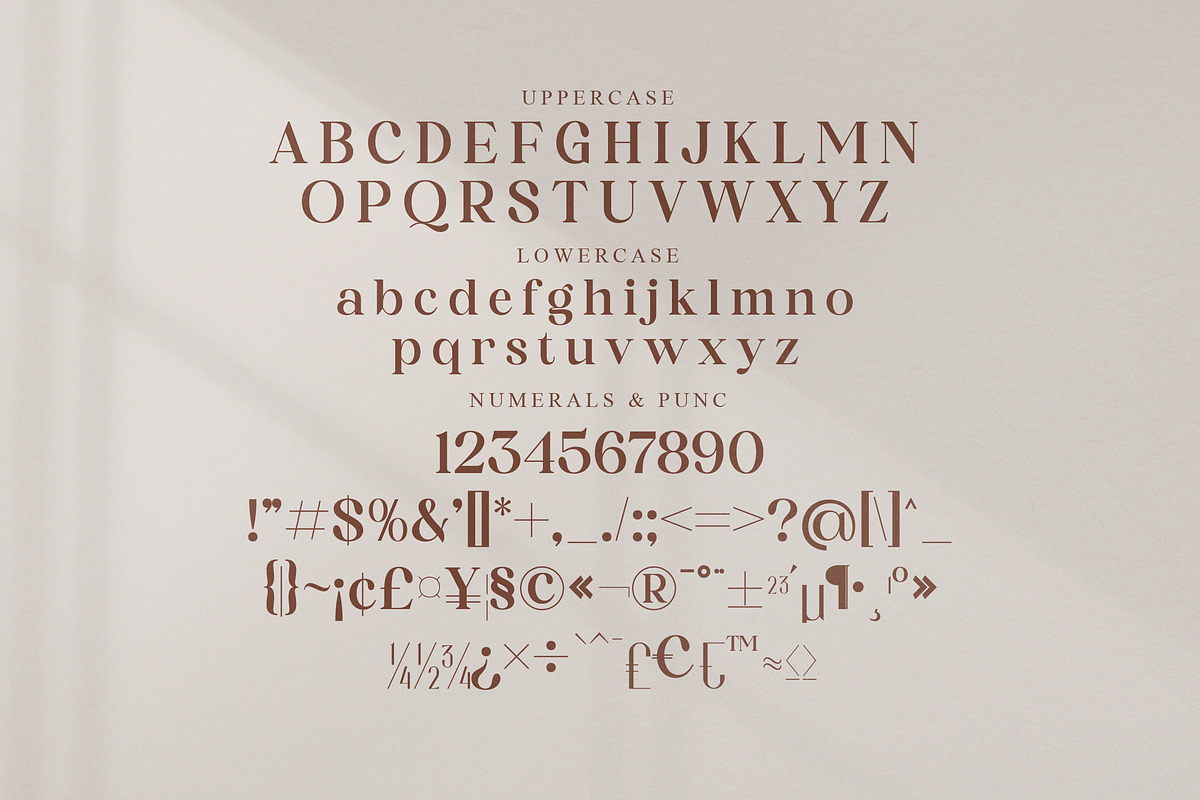 Adoha Modern Serif Font, a Serif Font by Storytype Studio (Photo 13 of 15)