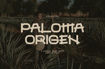 Paloma Origen - Vintage Slab Serif, a Slab Serif Font by Imoodev