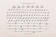 Dengacho Signature Signature Script, a Script Font by Denustudios (Thumbnail 12 of 12)