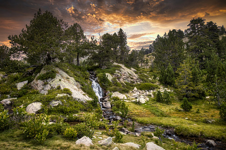 Sunset summer landscape with a small