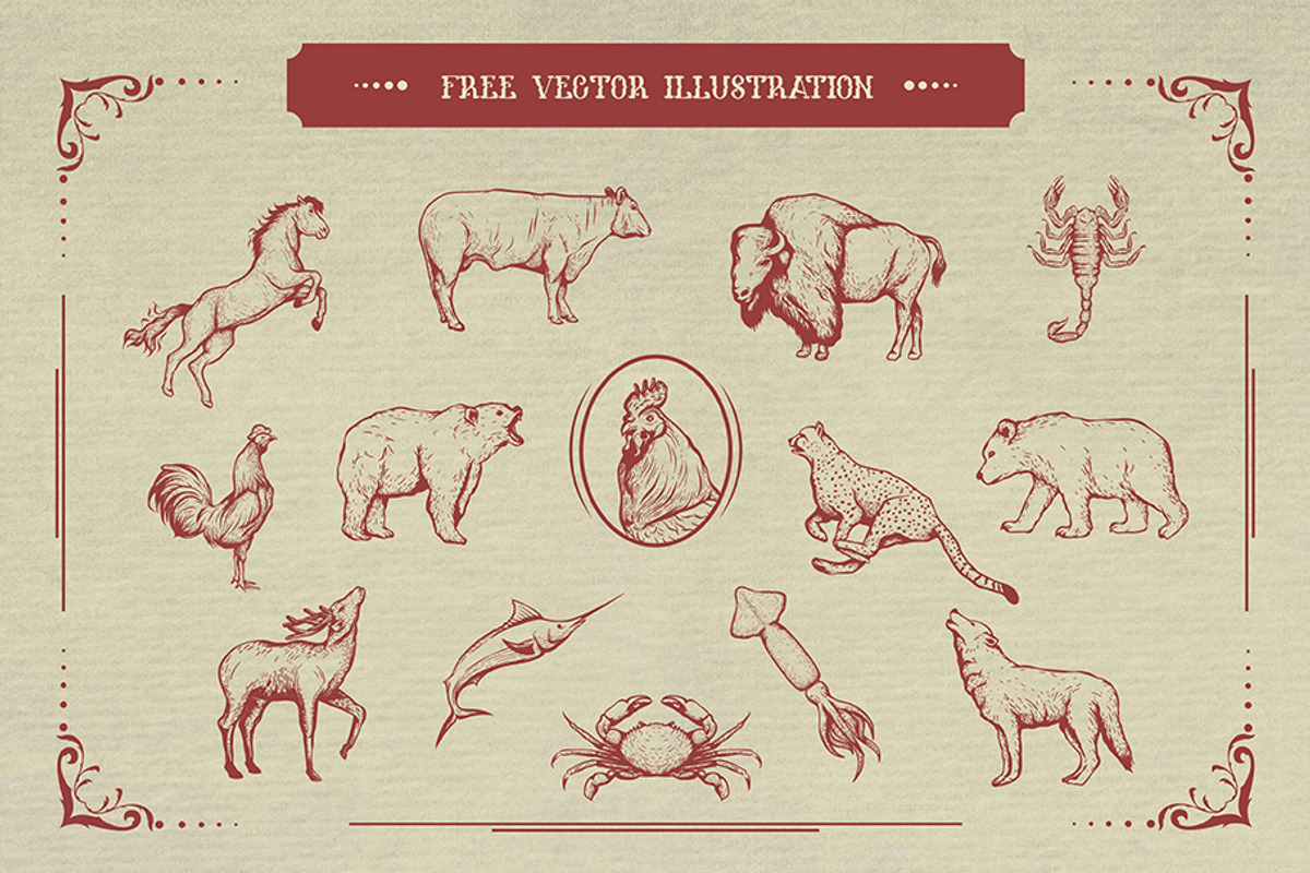 Melanesia Font and Free Illustration preview 7