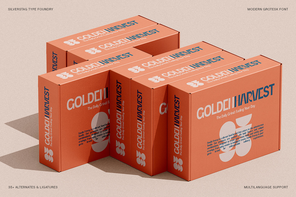 SLTF Refugio - Modern Grotesk Font, a Sans Serif Font by SilverStag Type Foundry (Photo 23 of 30)