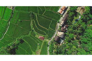Aerial view of lush rice terraces, a Nature Photo by Goinyk