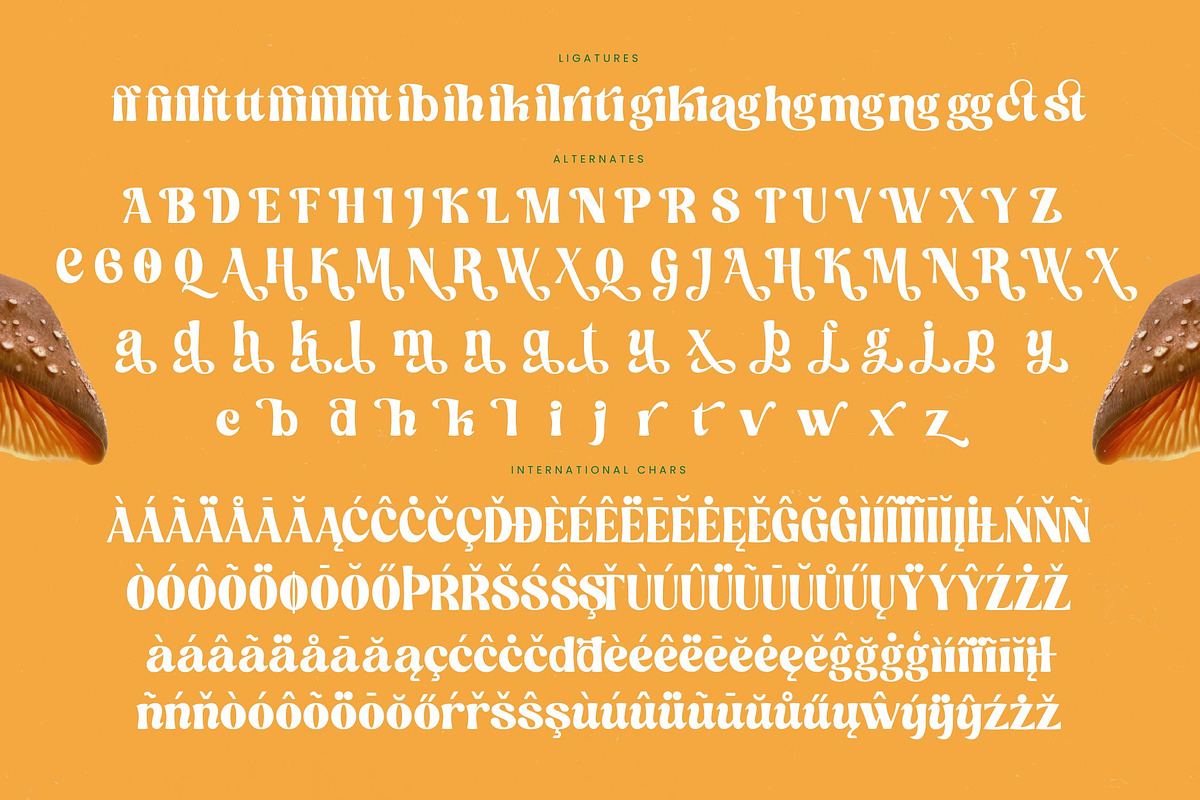 Nothing Magic Retro Groovy Serif, a Serif Font by timelesstype.co (Photo 19 of 20)
