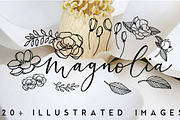 20+ Magnolia Flower Illustrations, an Illustration by The Higgins Creative (Thumbnail 1 of 3)