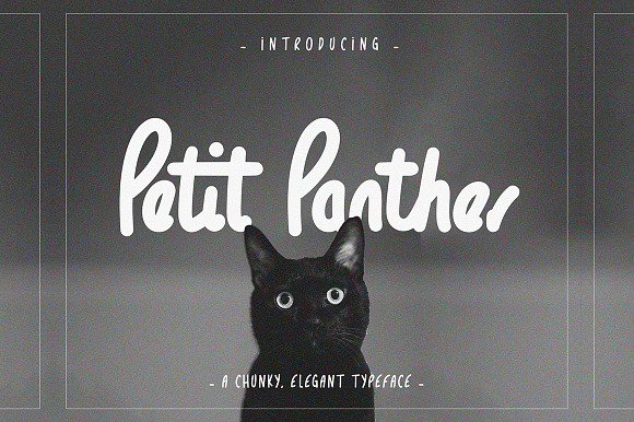 Petit Panther typeface - handwritten preview 5