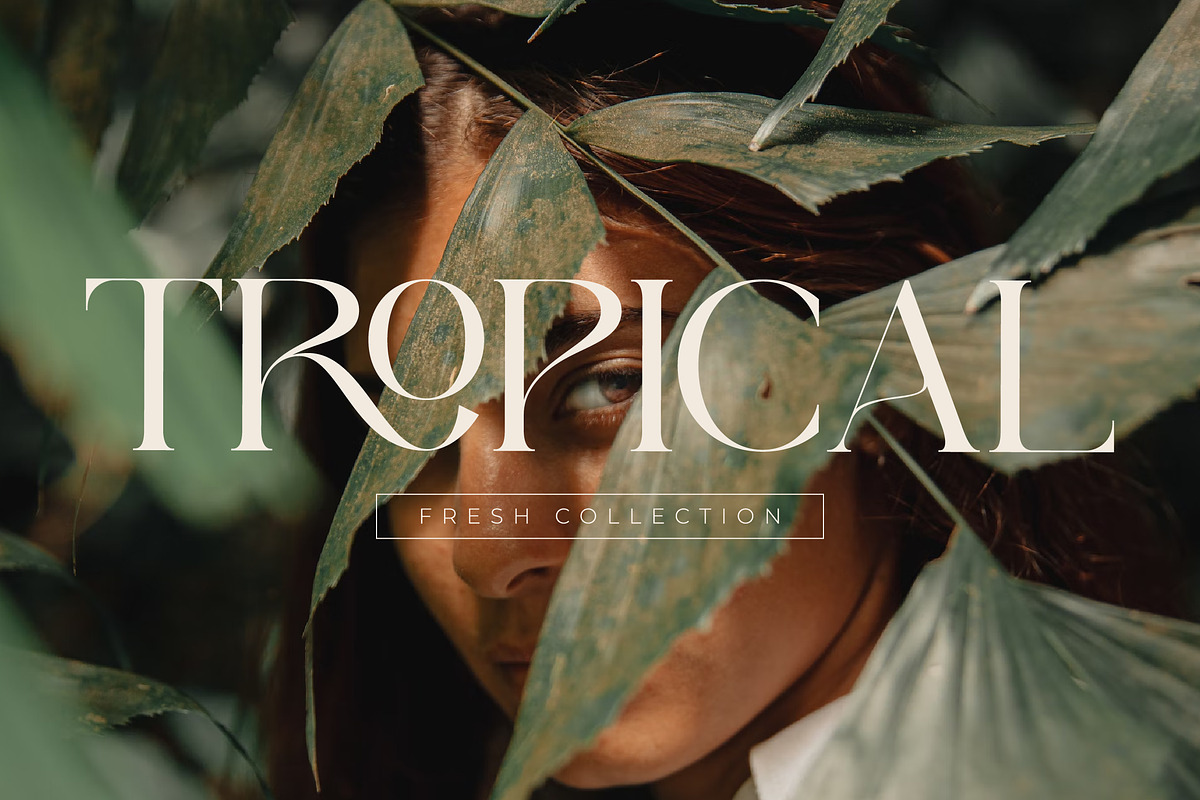 Qeilab Font Free Downloadv - UIFreebies