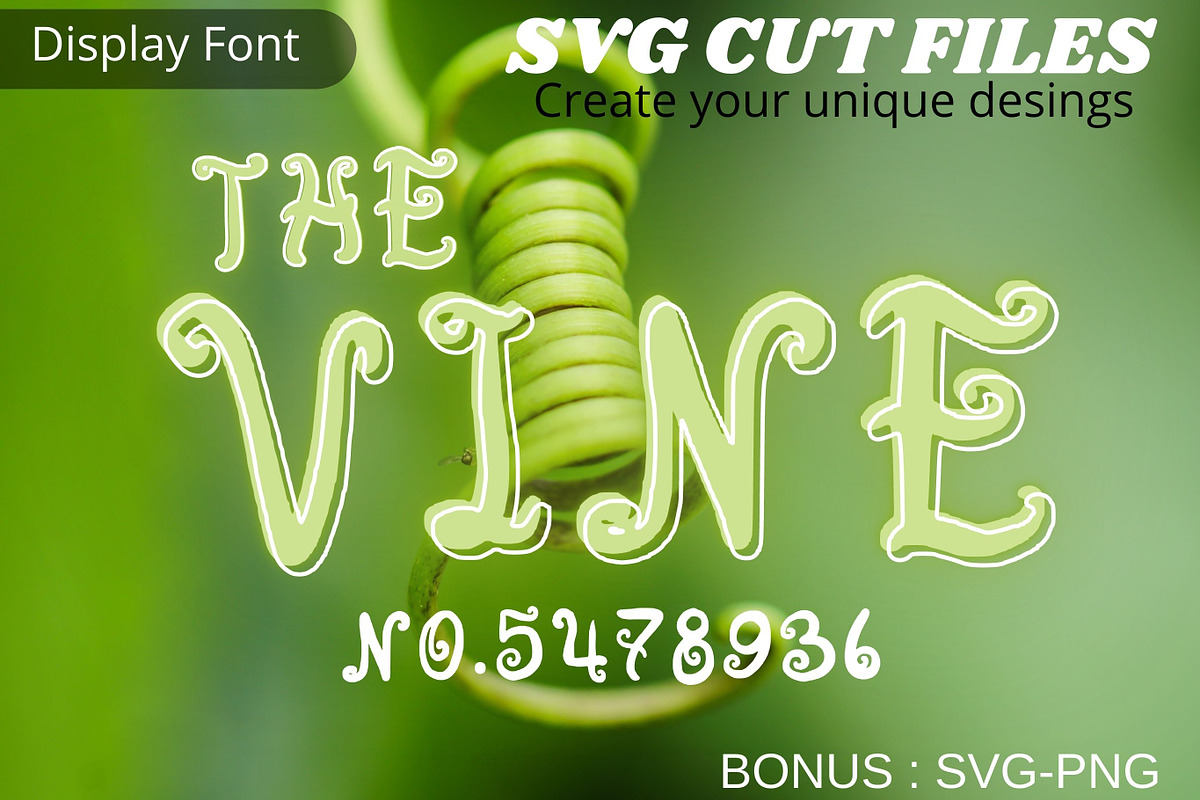 The Vine font, SVG font, a Font by Tattoo Worker Studio (Photo 1 of 4)