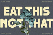 Saffielle - Bold Vintage Typeface, a Sans Serif Font by SilverStag Type Foundry (Thumbnail 13 of 15)