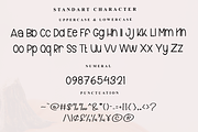 Collection, a Serif Font by InermediaSTUDIO (Thumbnail 7 of 7)
