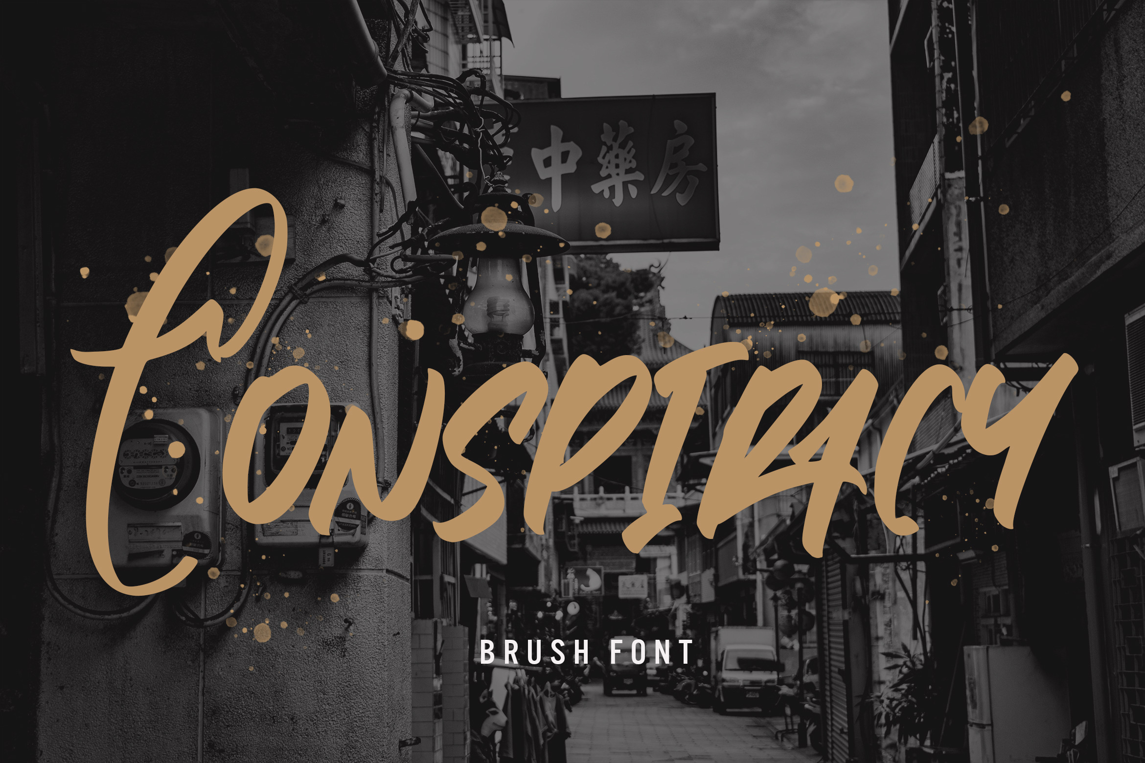Conspiracy - Brush Font, a Script Font by Arendxstudio