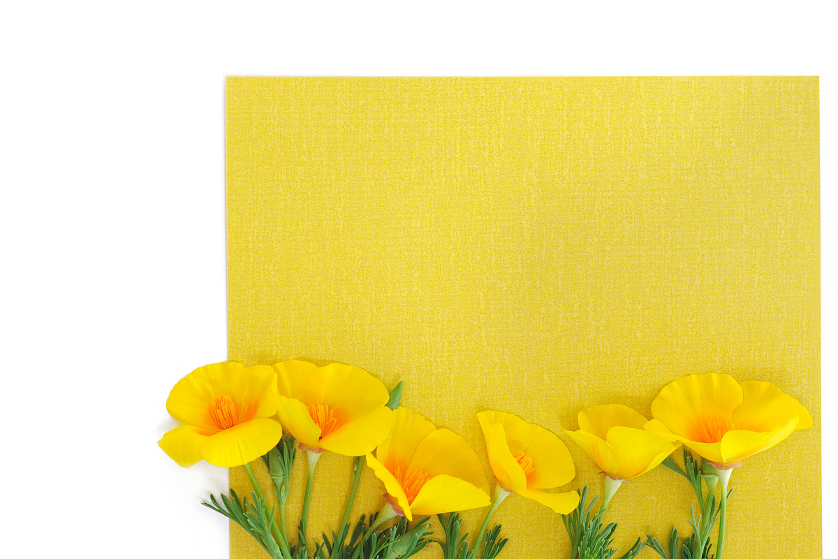 Yellow floral flatlay set, an Object Graphic by Pullia (Photo 6 of 9)