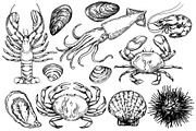 Underwater life. Hand drawn sketch, a Food Illustration by made by Tanya (Thumbnail 2 of 4)