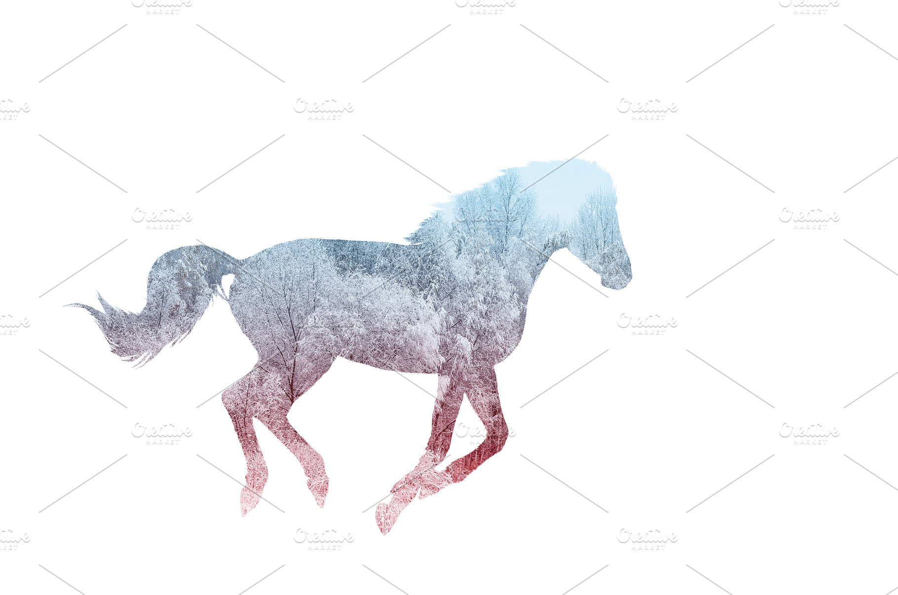 running horse silhouette, double, an Animal Photo by Pakosta