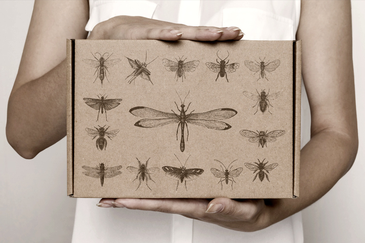 Vintage Bundle 2500+ Free Update, an Animal Illustration by Retro Machine (Photo 129 of 170)