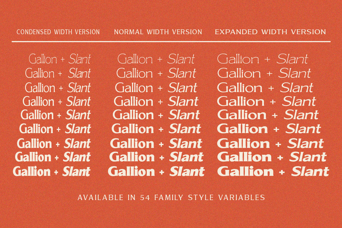 Gallion Pro, a Serif Font by MasaType (Photo 11 of 11)
