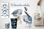 Watercolor Whales & Patterns, an Animal Illustration by annasokol_ (Thumbnail 3 of 6)