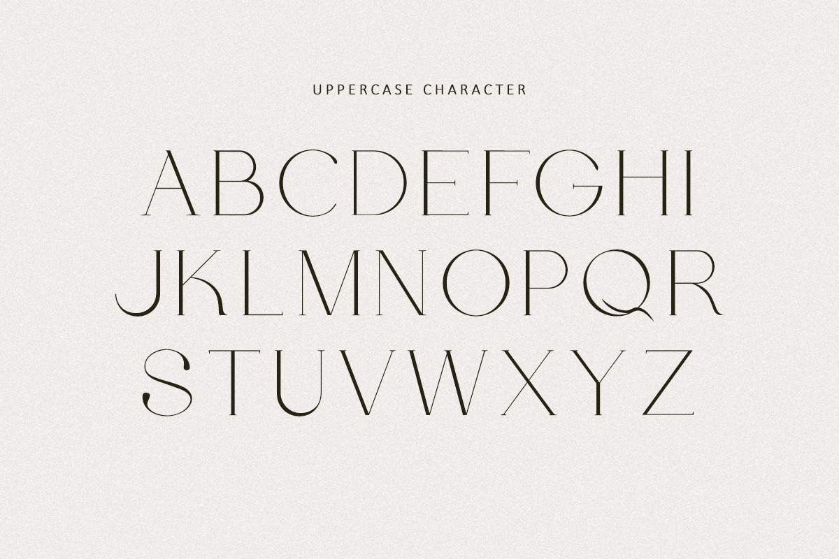Leony - Elegant Serif, a Serif Font by Tammami (Photo 2 of 12)
