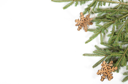 Christmas Pine Branches
