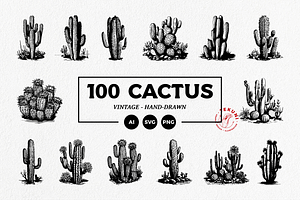 Cactus Hand-Drawn Vintage Set