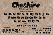 Cheshire, a Font by LetterStock (Thumbnail 5 of 8)