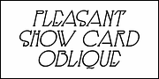 Pleasant Show Card JNL, a Serif Font by Jeff Levine Fonts (Thumbnail 4 of 5)