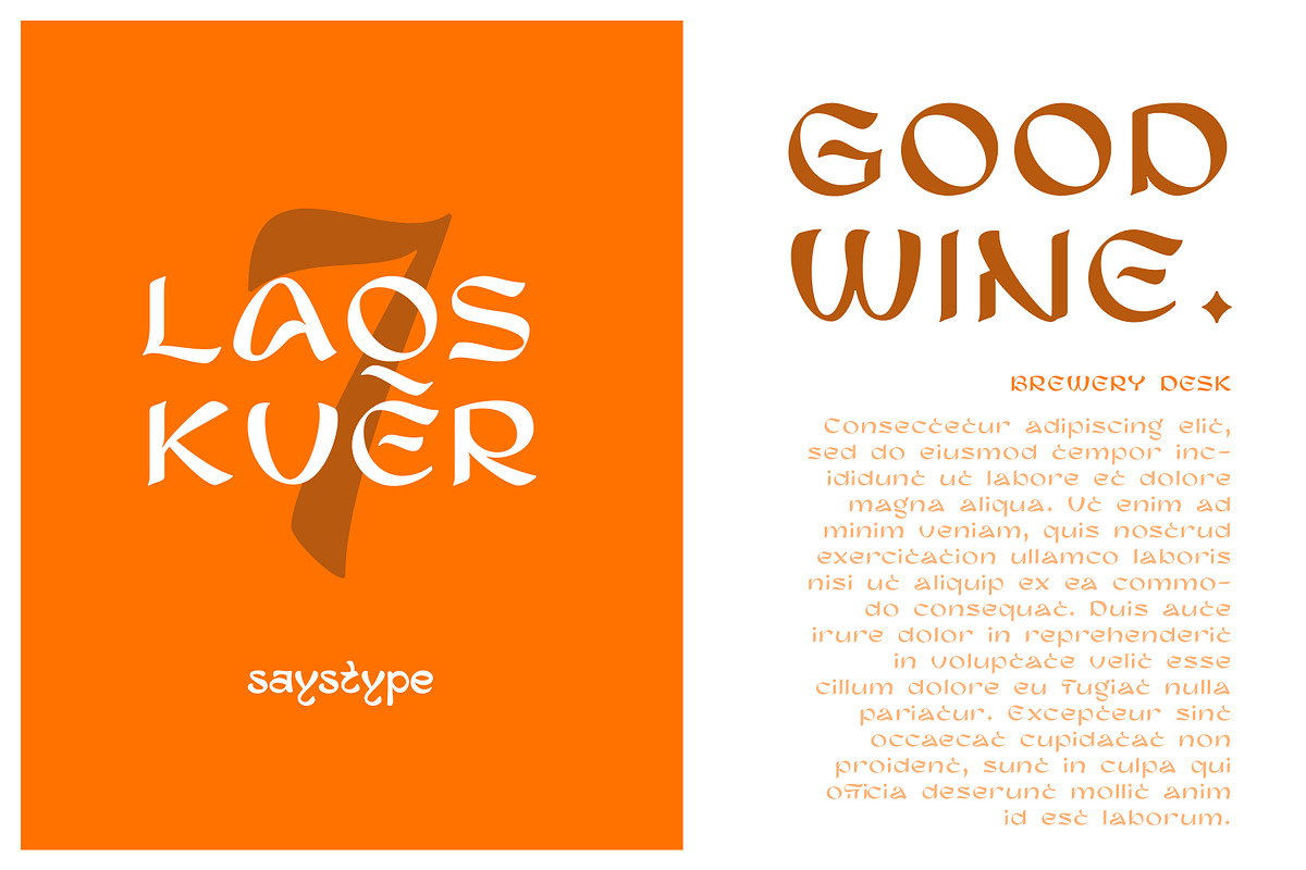 Says Display Maytens Typeface, a Sans Serif Font by Saystype (Photo 4 of 6)