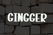 Gingger  Brand, a Sans Serif Font by InermediaSTUDIO (Thumbnail 5 of 8)