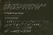 Melankoly Asteria Monoline Font, a Script Font by Letterena Studios Script (Thumbnail 13 of 15)