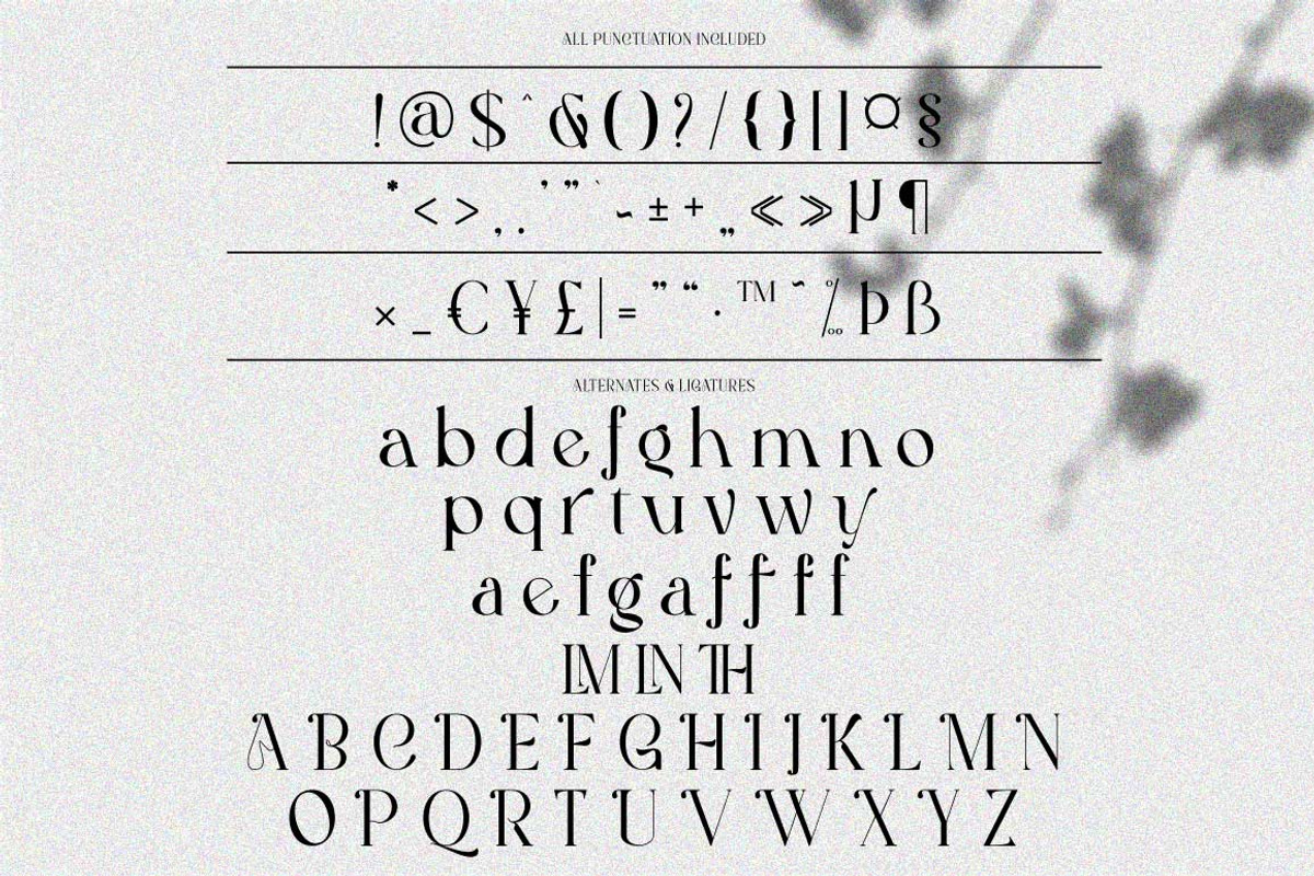 Half Love Serif Display Elegant, a Serif Font by Cut Story (Photo 14 of 14)