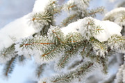 Cosy winter. Bundle of 14 images., a Background Photo by lisa870 (Thumbnail 12 of 17)