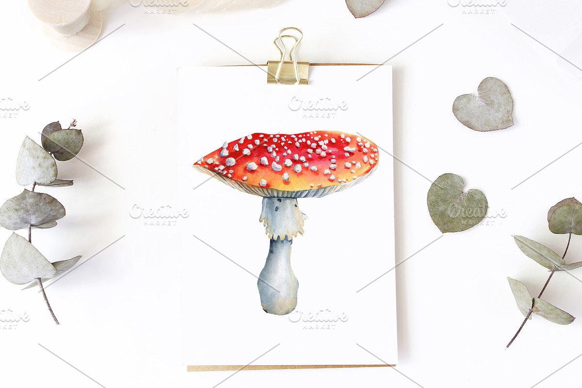 Mushrooms Forest watercolor painting, an Object Illustration by Hanna Hryharenka (Photo 4 of 11)