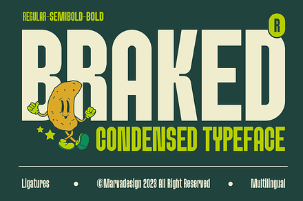 Braked - A Family Sans Condensed