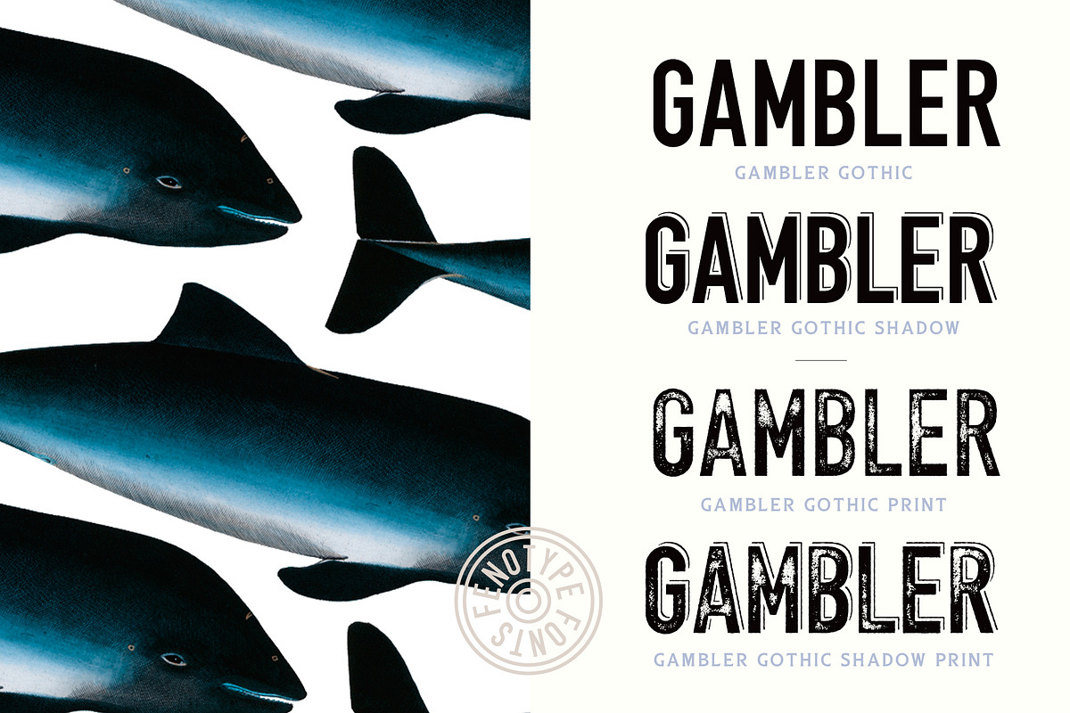 Gambler Type Collection, a Sans Serif Font by Fenotype (Photo 13 of 13)