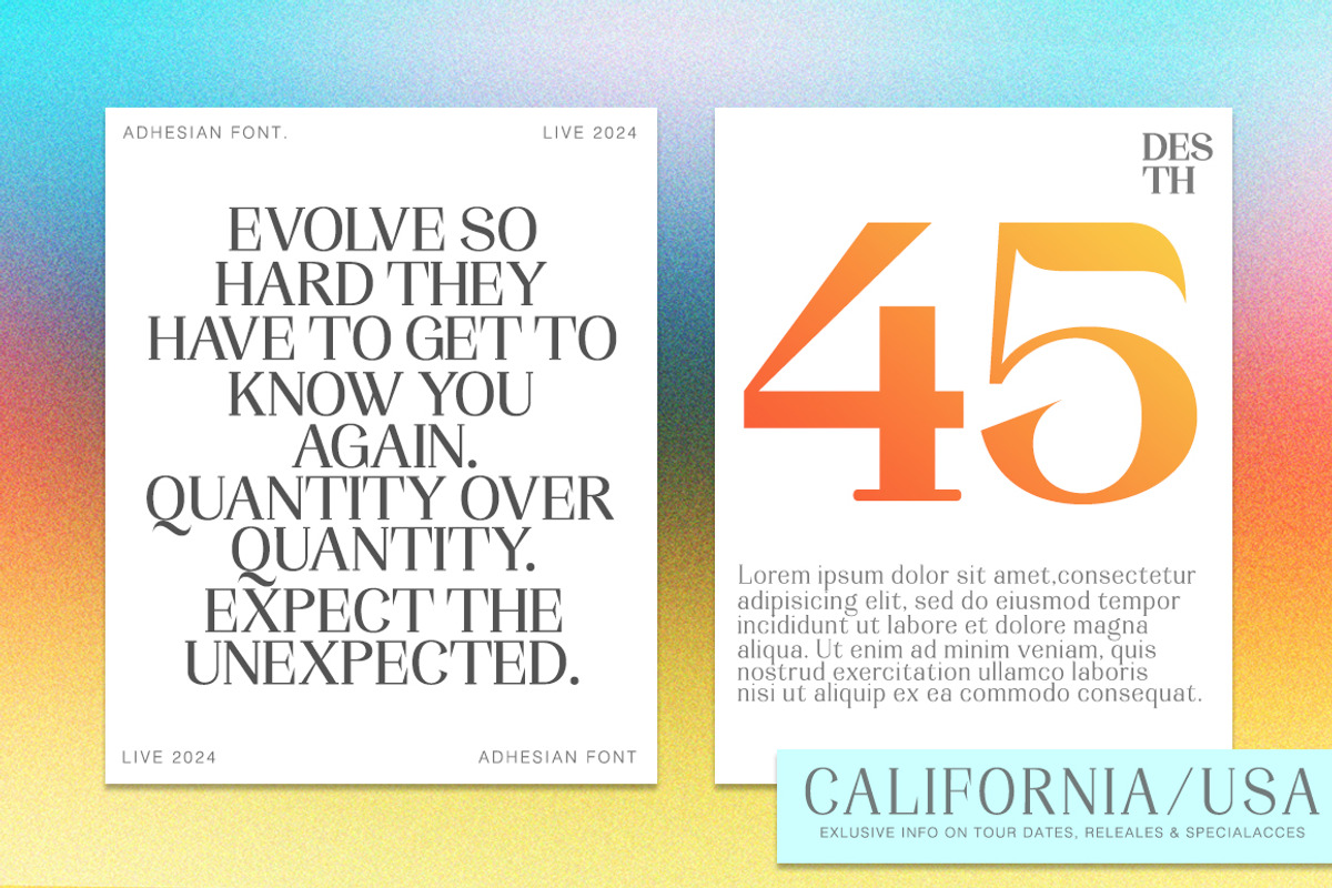 Adhesian Serif Font Family, a Serif Font by Propertype (Photo 3 of 12)